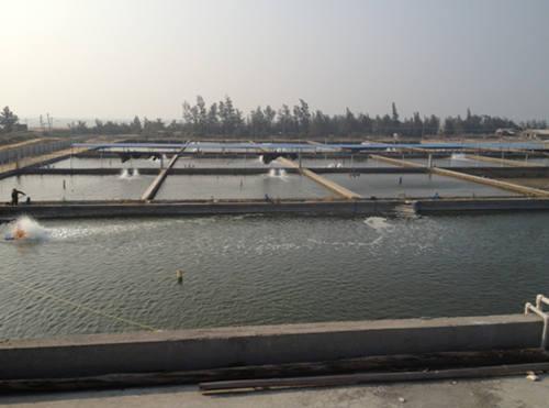 水产养殖保险可行性 中国水产养殖保险