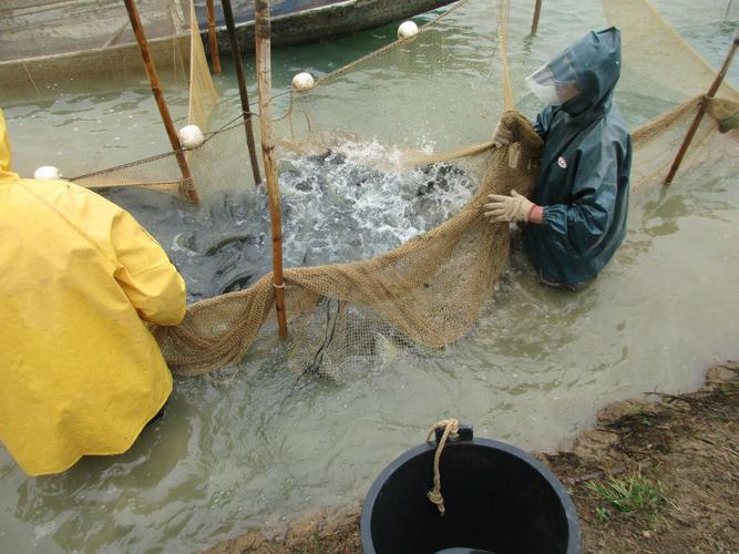 厂家直销 水产养殖 欢.商品大图