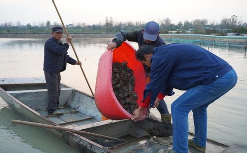 水产养殖带动农户增收