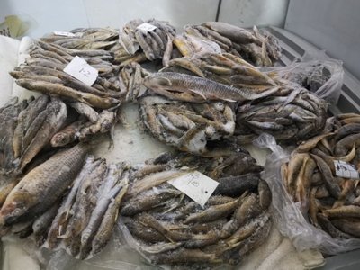 贵州罗甸:保护区内饭馆公然销售野生鱼,16名河长为何管不好两条河?